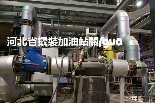 河北省撬裝加油站關(guān)鍵技術(shù)突破！化工廠拆除工程的新方法探索？